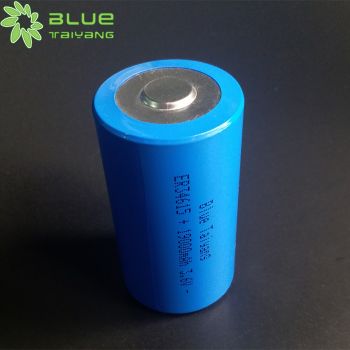 ER34615 3.6V 19000mAh 鋰亞硫酰氯電池